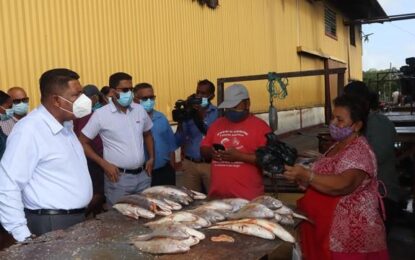 Minister of Agriculture told security a major concern at Meadow Bank wharf