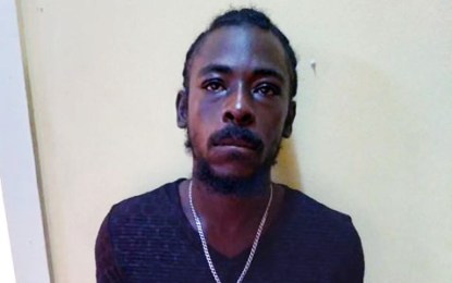 Mechanic charged for illegal possession of gun, ammo