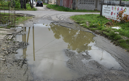 Goedverwagting residents complain about deplorable roads