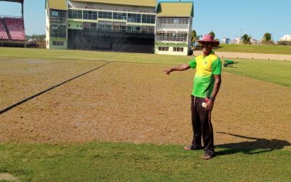 Pitch Square at National Stadium being resurfaced