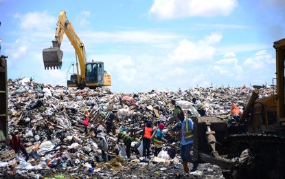 Exxon dumping 35 tons of waste per day at Haags Bosch