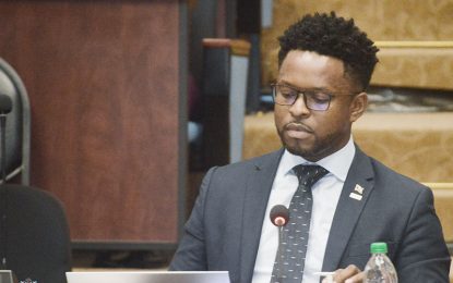 PPP pulls funding for construction of new Wismar/Mackenzie bridge, RDC building  – MP Sears tells House