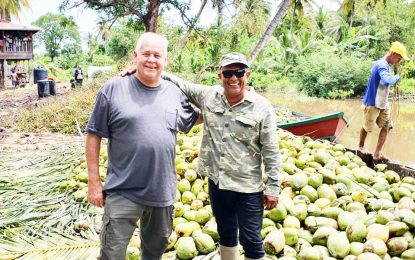 Businessman proposes water channels through Pomeroon farms to ease flooding