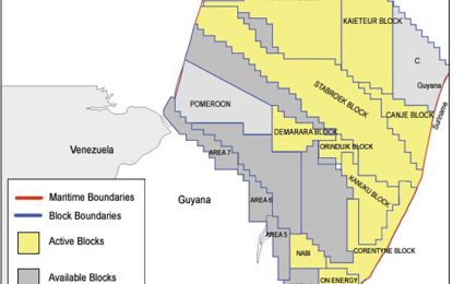 Pres. Ali encourages local ‘consortiums’ to bid for oil blocks