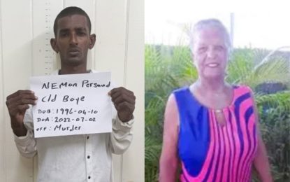 Man charged with murder of Mon Repos granny