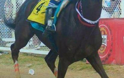 Record entries for Guyana Cup day of racing