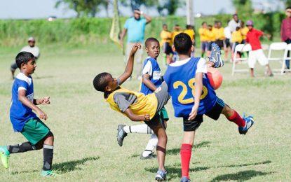 COURTS Pee Wee Round-of-16 kicks off today