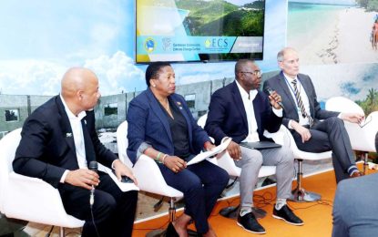 Experts make recommendations on framework to help Caribbean access needed climate financing