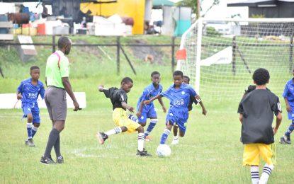 Pee Wee semifinalists to be confirmed; Under-18 League to end