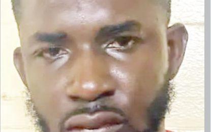 Alleged “cop beater” slapped with 13 charges