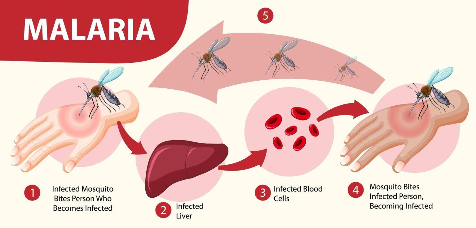 Mining activities driving malaria cases up in Guyana Kaieteur News