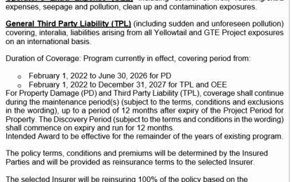 ExxonMobil looking for a Guyanese company to “front” insurance for energy projects