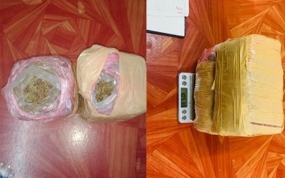 Venezuelan busted with kilo of marijuana