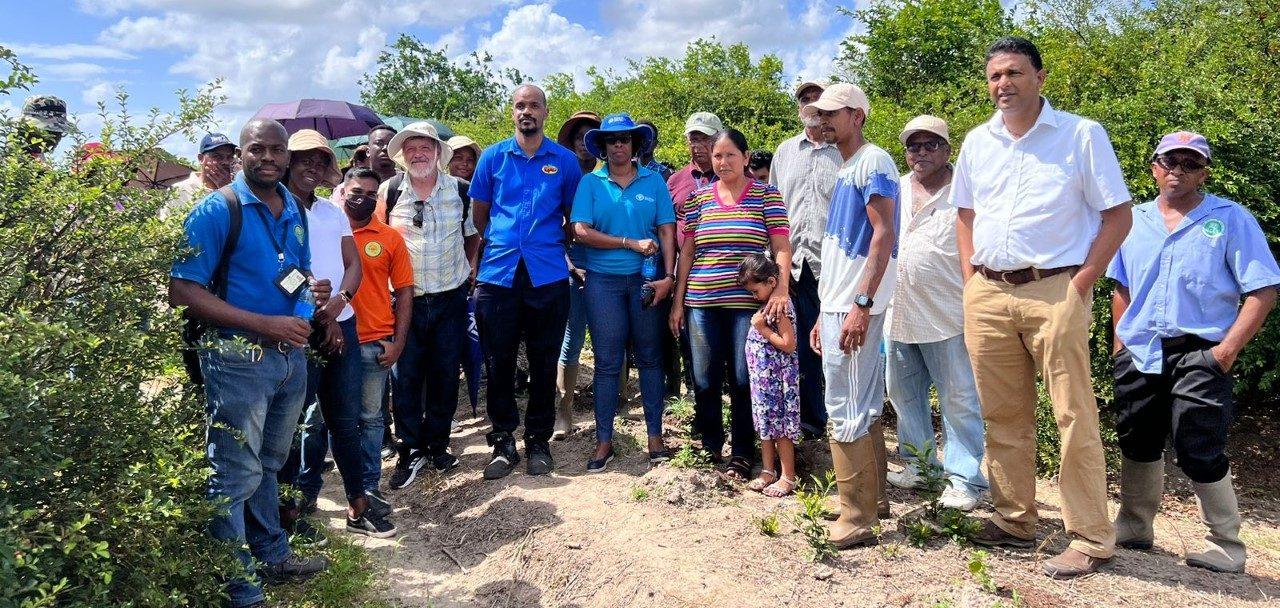 FAO in move to help boost production of cherry in Guyana - Kaieteur News