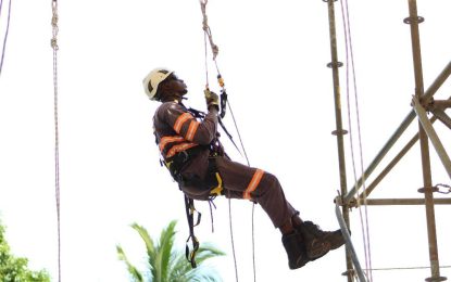 Panthera Solutions Inc. gets IRATA Rope Access Certification