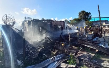 One dead, 13 homeless in massive fire at Agricola