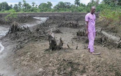 Oil giant Shell argues Nigerians brought oil spill lawsuits ‘too late’