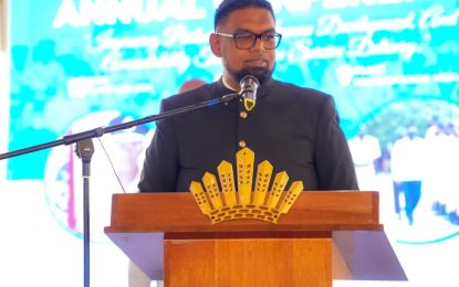 President Ali calls out police force for not completing case files