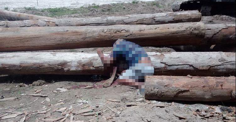 Labourer Cledwin Richards hunched over a log after he was crushed on Tuesday.