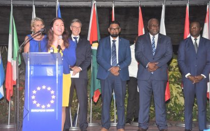 Pres Ali hails Guyana-EU ties