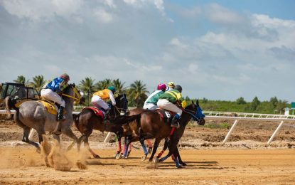 One Guyana Breeders Cup offers the largest purse for local and Suriname bred-horses