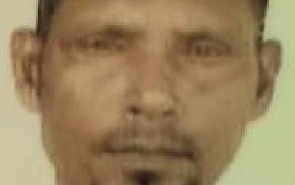 Essequibo man killed in hit-and-run while taking granddaughter to buy hotdogs