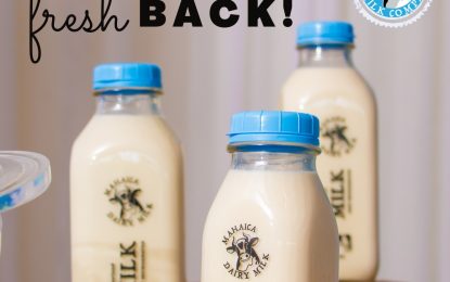 Amaya Milk is now on the market