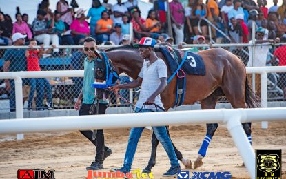 Strict regulations for Horse Owners entering upcoming races