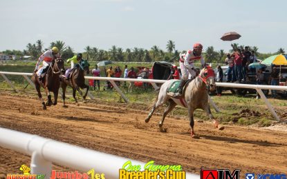 New Traffic Plan Set For Guyana Cup 2023