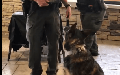 Crime fighting dogs awarded for years of service