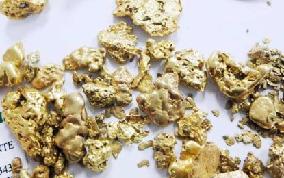 Small, medium scale miners responsible for decline in gold declarations – Mid-Year Report