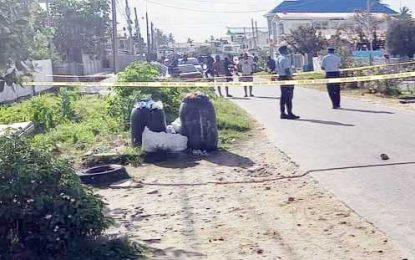 Man shot dead at Mon Repos