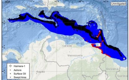 Offshore spills can bankrupt oil companies – ExxonMobil Guyana Projects Manager says