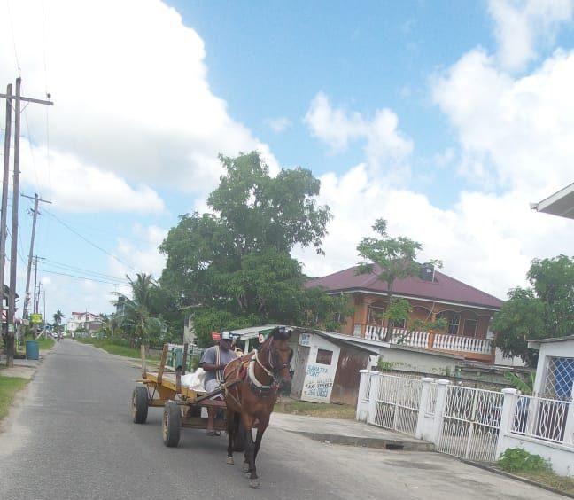 Downer Street, Grove, East Bank Demerara