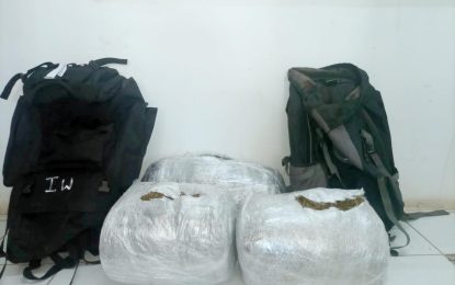 ‘Family man’ busted with large quantity of ganja