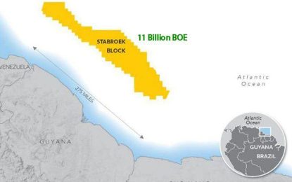 Govt. announces plans to survey potential resources in offshore blocks