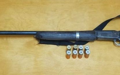 Police find gun, ammo in ‘salt bag’ on Xmas Eve