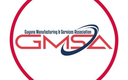 Manufacturing Sector grew by 25%, earned $70B in 2023 – GMSA