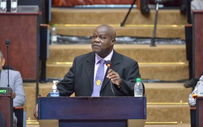 Guyana should not have currency shortage with 700% increase in exports – Norton  