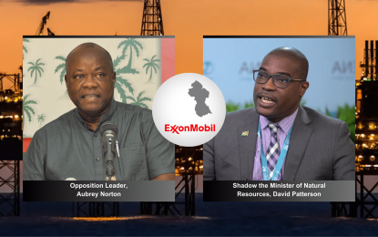 Patterson to remain Opposition’s point man on oil and gas – Norton