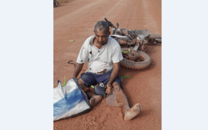 ‘Greens Man’ crashes into pick-up after blinded by dust at Aranaputa