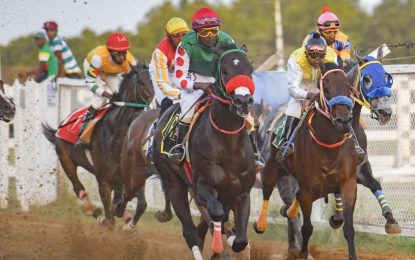 Top horses entered for Jumbo Jet’s Mashramani race