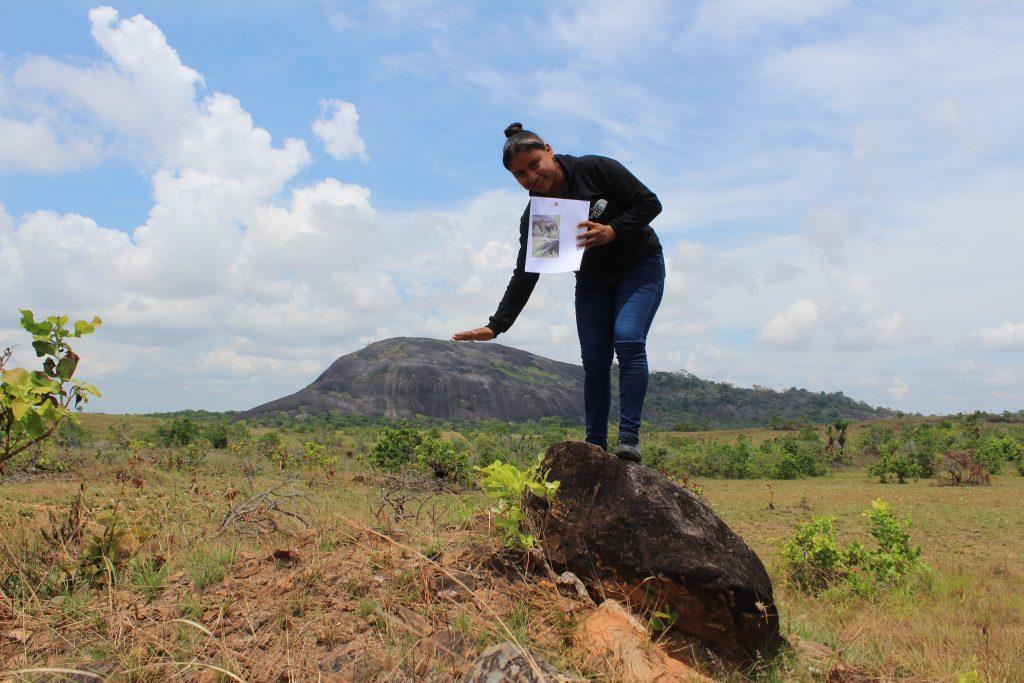 A participant indicates the height of which one of the animals usually grow.