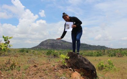 Setting camera traps for Giant Armadillos and Giant Anteaters