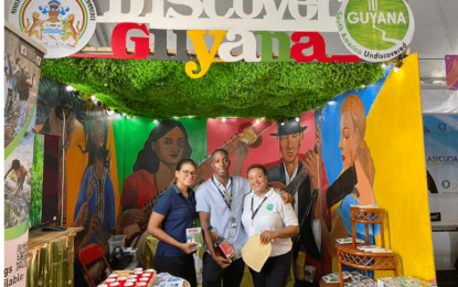 Guyana Tourism Authority closer to achieving 2024 goals