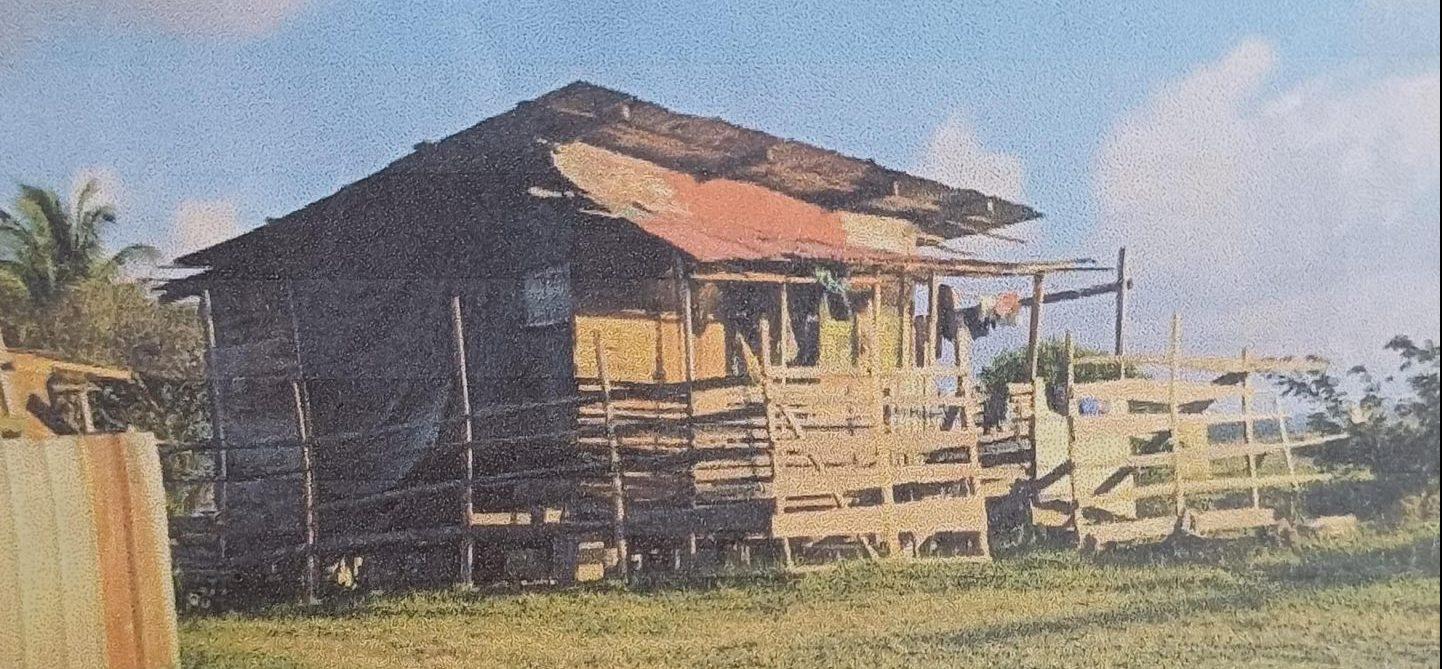 The shacks set-up by squatters at Fisher dam, Zeelugt