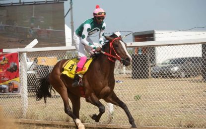 Appadu leads Guyana jockey points standing after race four