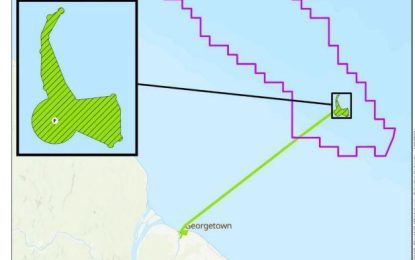 ExxonMobil will be allowed to pump above safety limits after two years in 6th oil project – Petroleum License