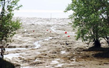 Body of man found at Hope Beach