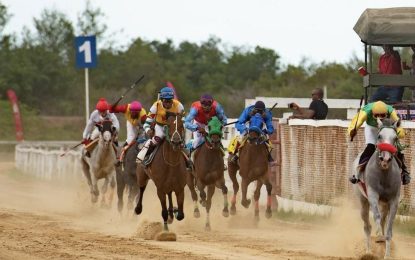 Horsemen anticipate smooth transition with introduction of legislation